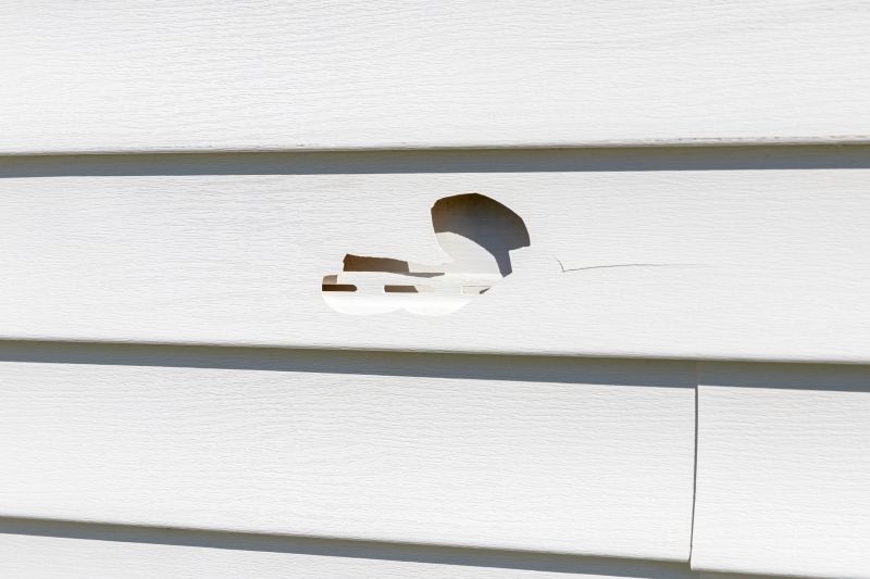 Damaged Siding Sections